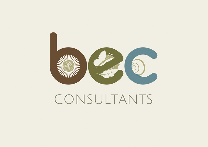 BEC Consultants Logo Design Dublin