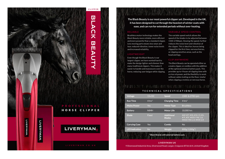 Liveryman product flyer design