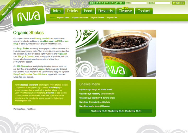Rivva website design