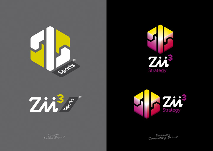 Zii3 Strategy brand design alternatives